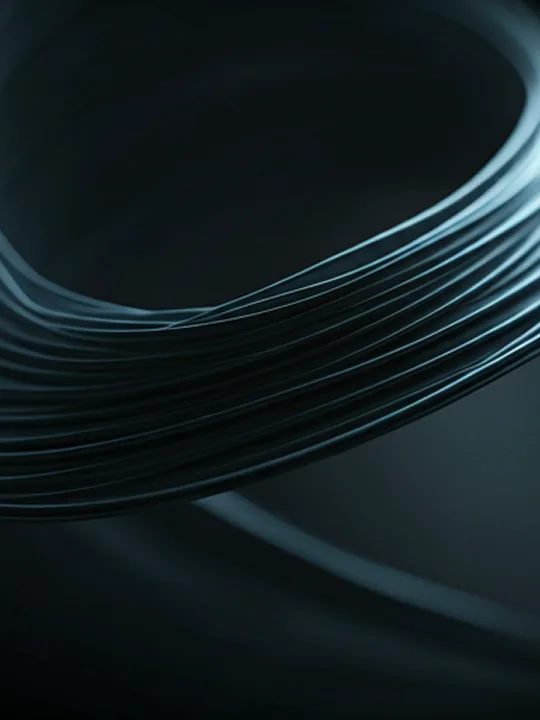 The Silk Vector